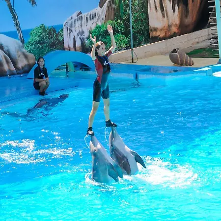 V4, Jardins Branqueira3 Near Beach, *